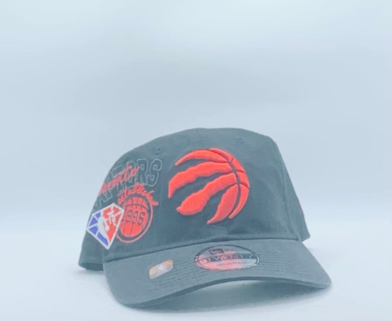 Raptors 21 Back Half Hat