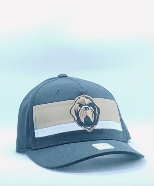 Growlers CCM Flex Hat